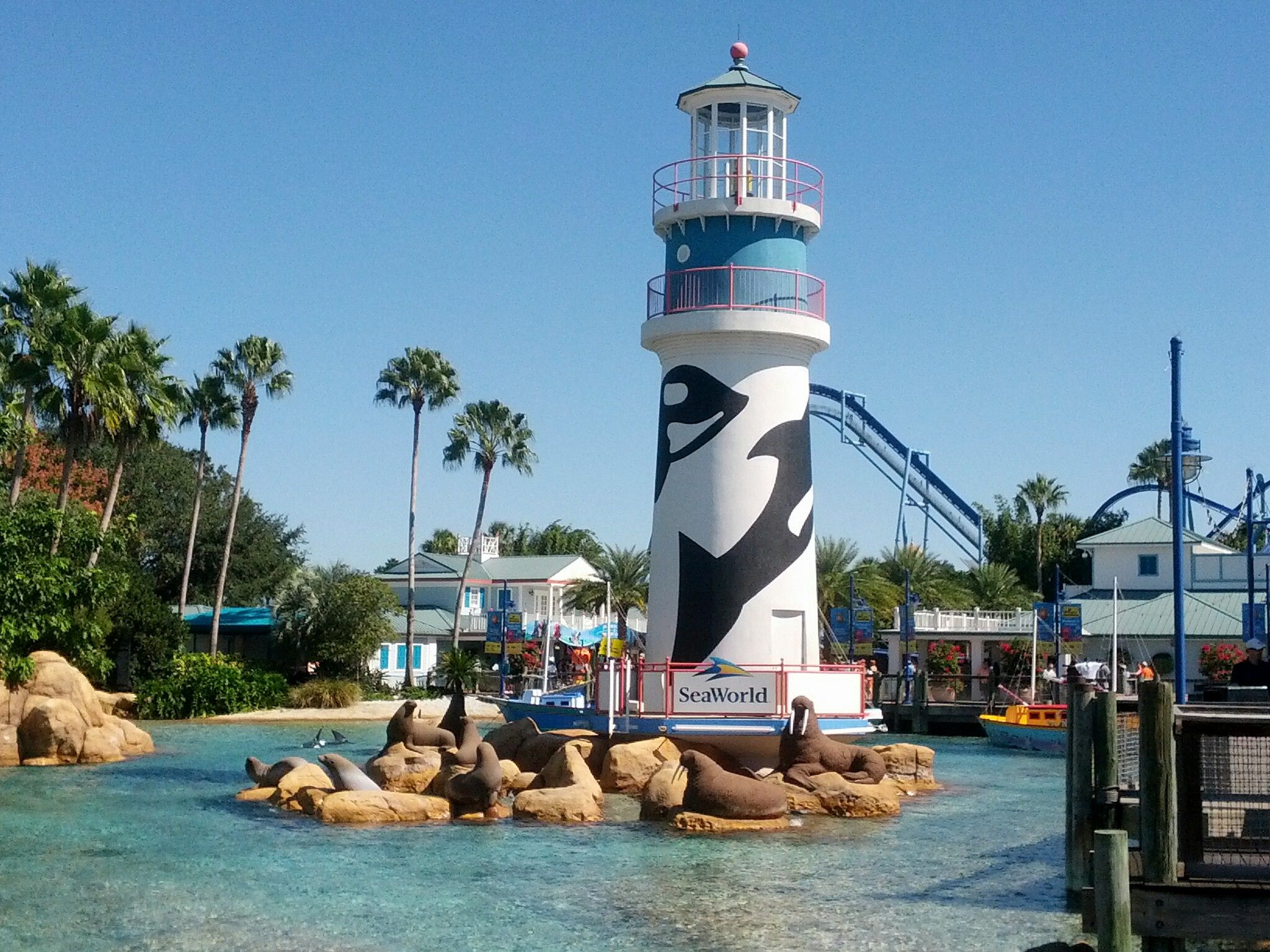 2048x1536 SeaWorld Orlando trip report 2013 (our first in a new series)