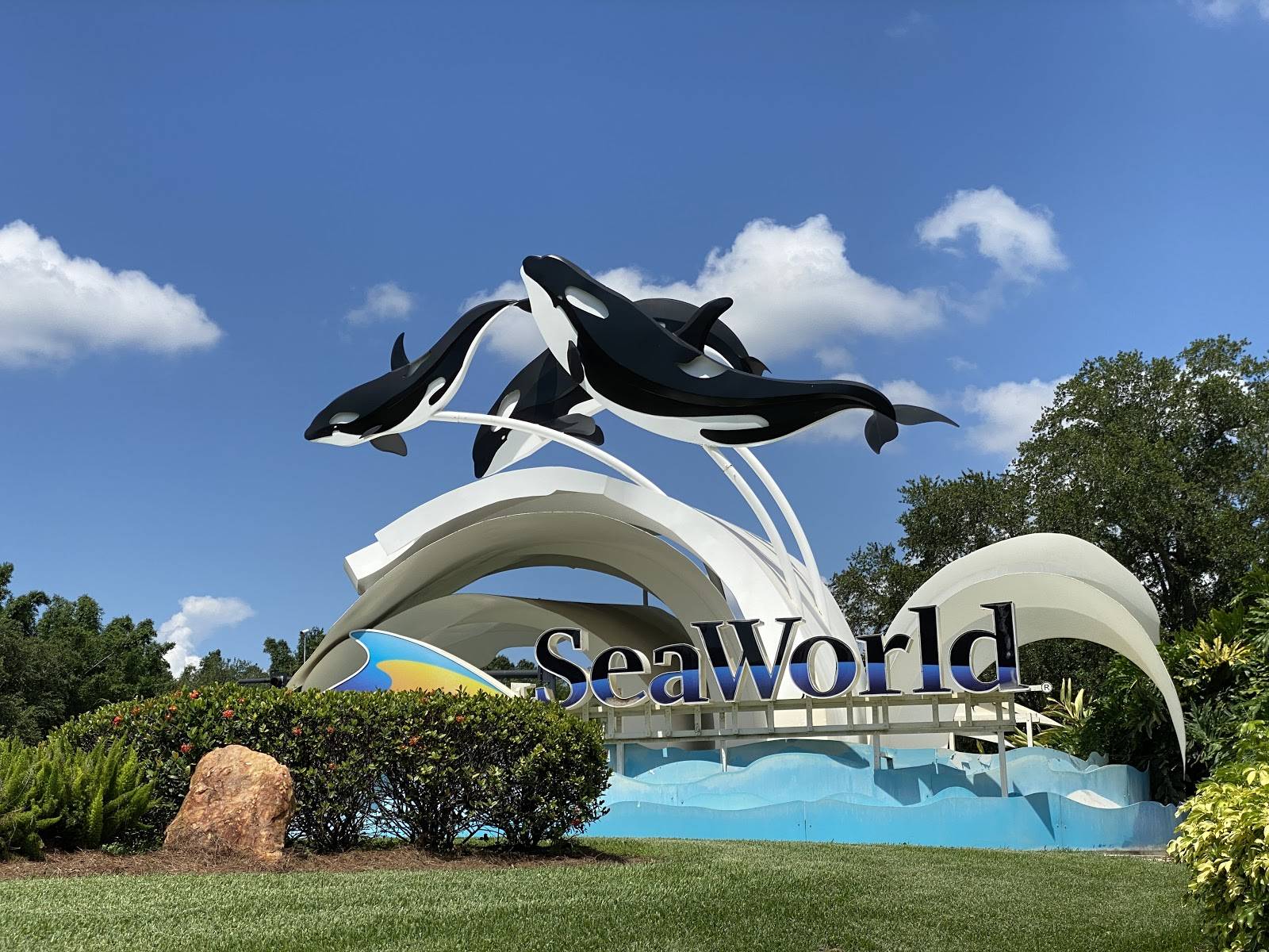 1600x1200 A Look Inside SeaWorld Orlando Ahead of June 11th Reopening