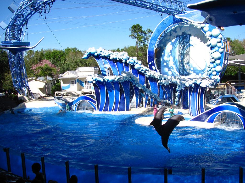 1024x768 SeaWorld Orlando