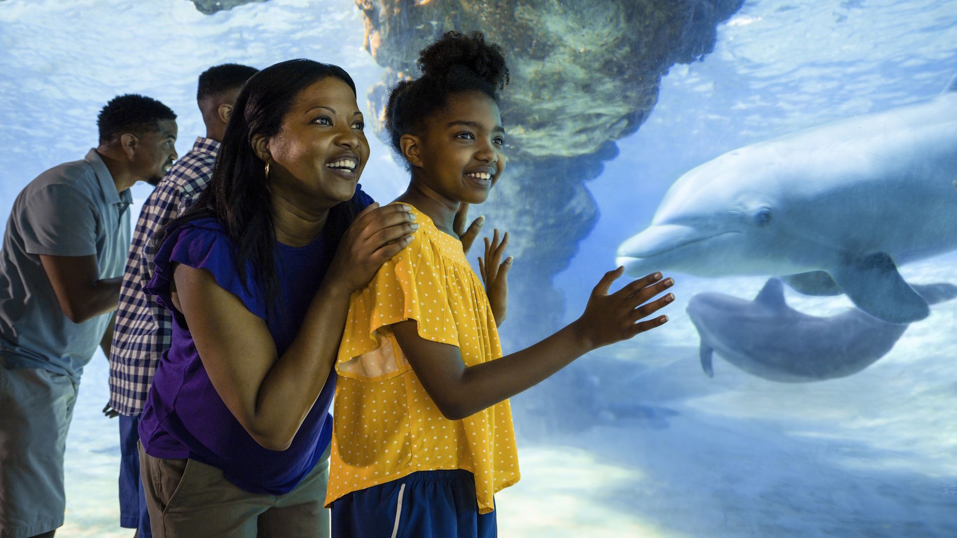 1920x1080 SeaWorld Orlando