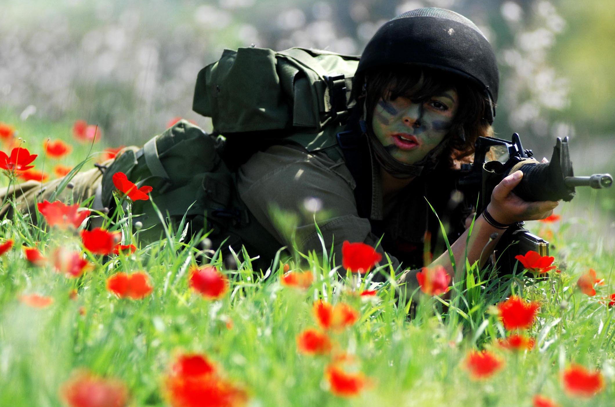 2120x1405 Flickr Defense Forces N' Roses, Welcome to the Home Front