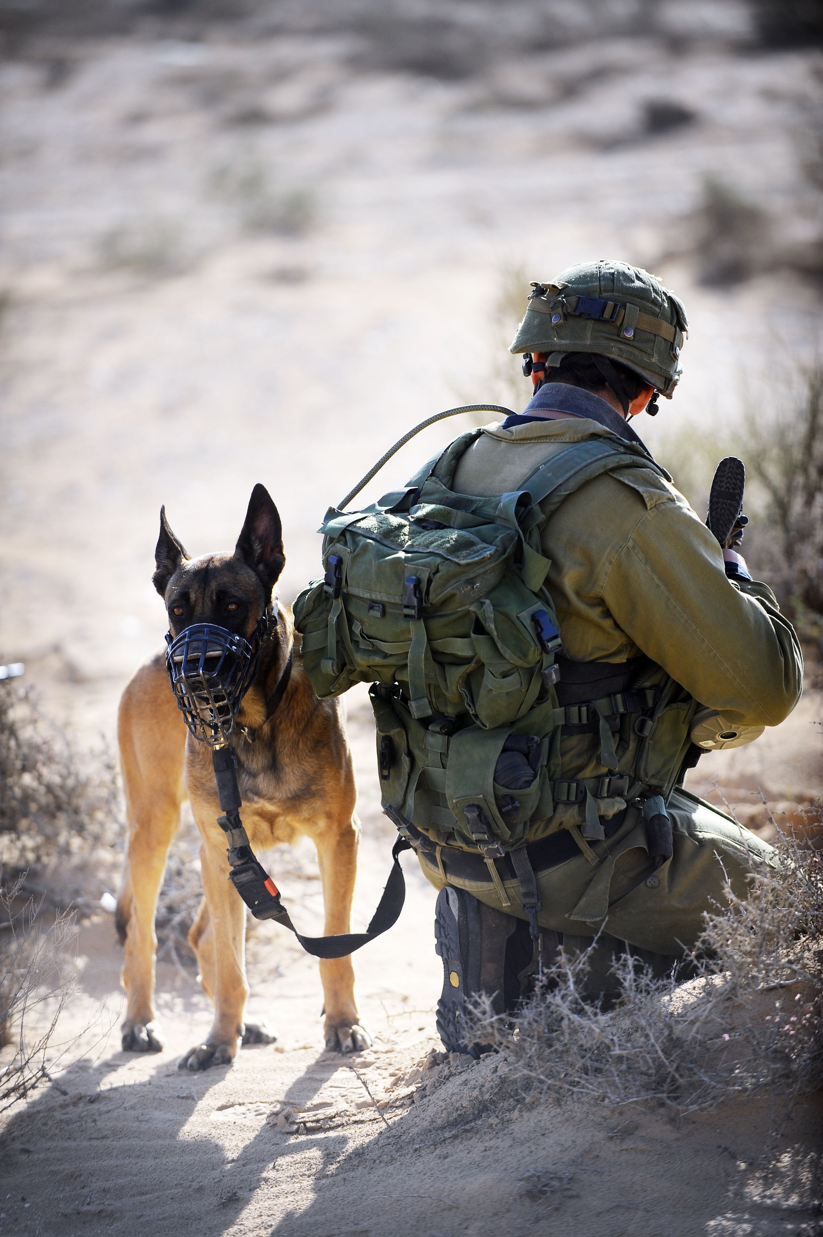 2832x4256 Flickr Defense Forces