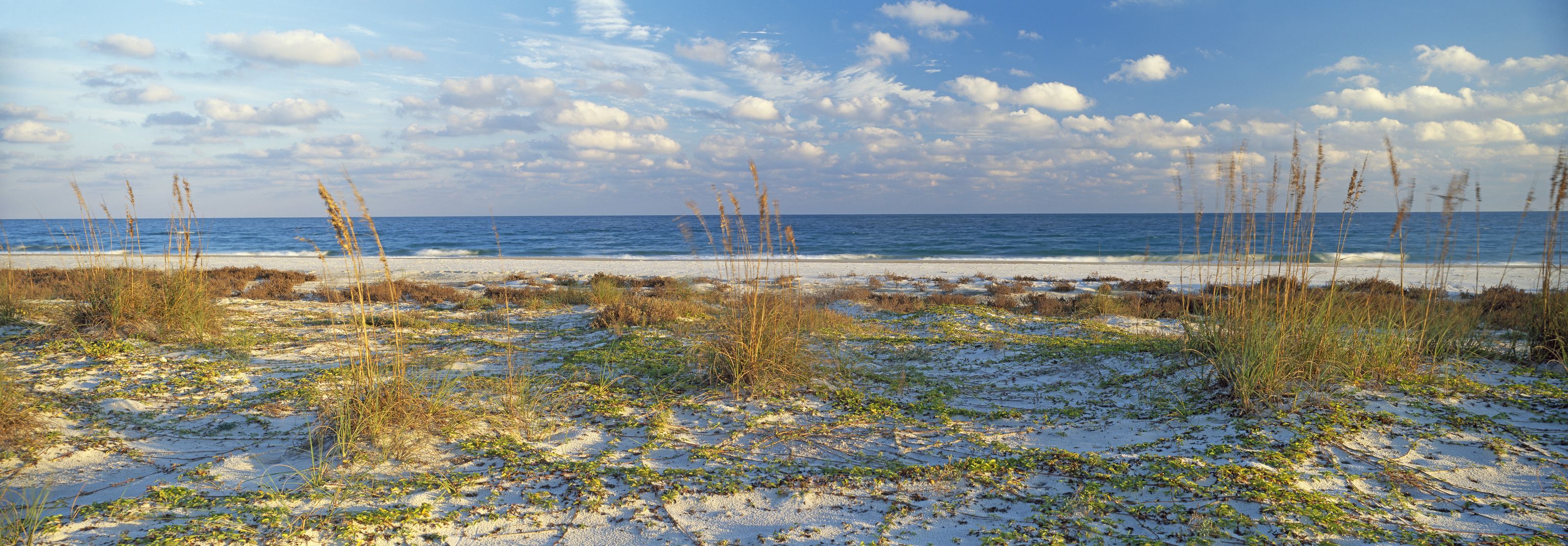 3200x1116 Gulf Escape Wall Mural