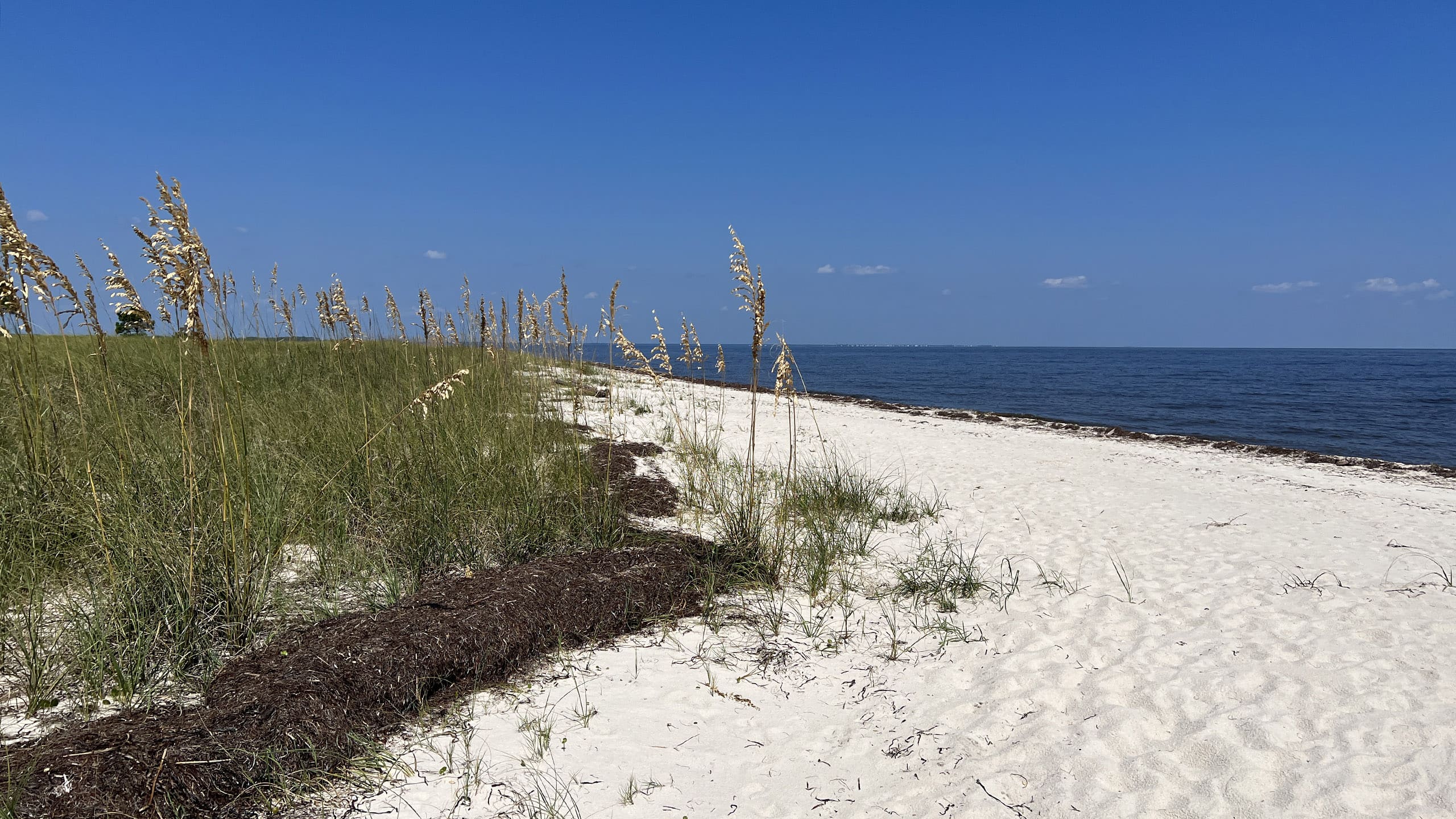 2560x1440 Gulf of Mexico
