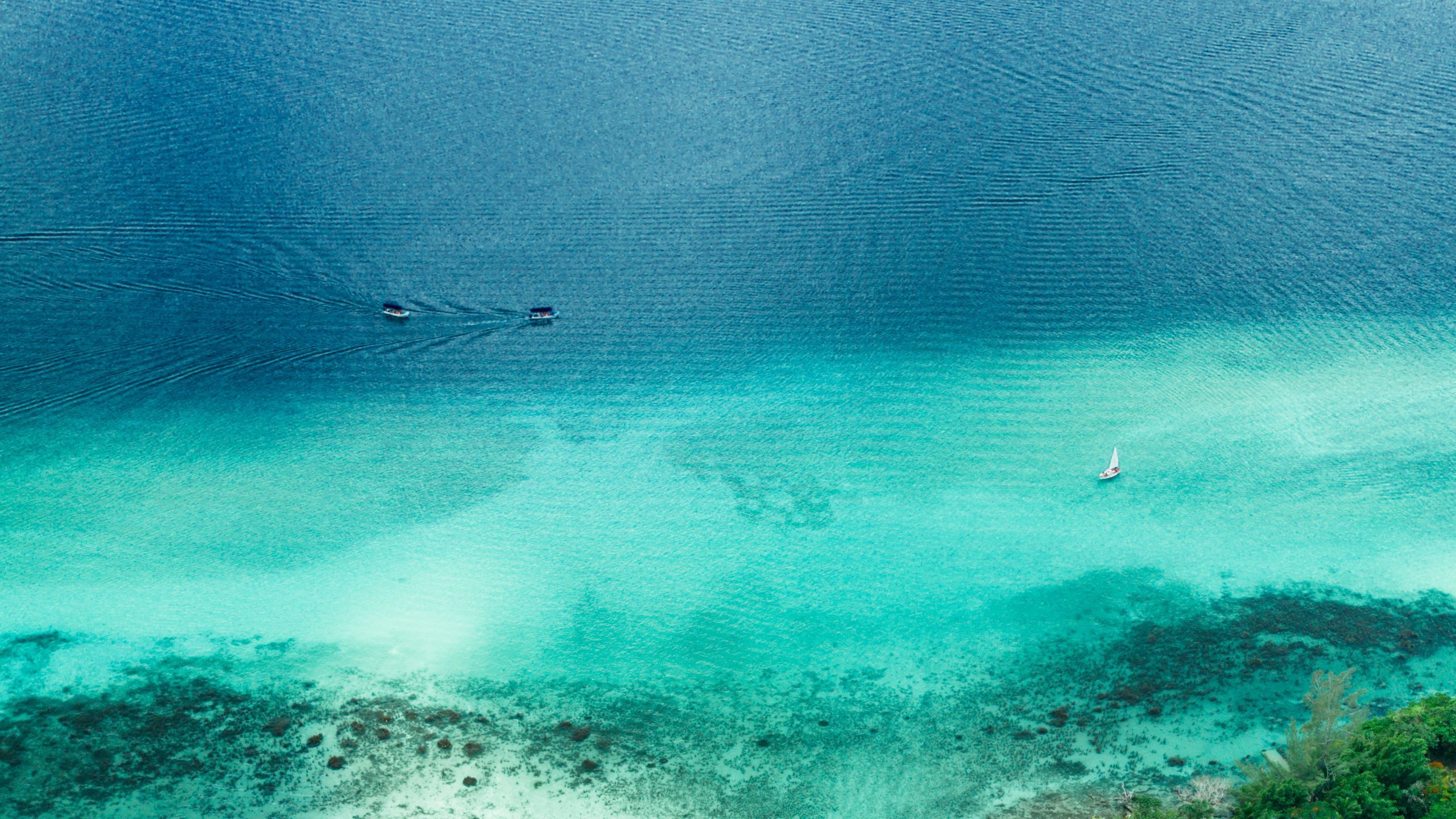 2560x1440 The view from here on Mexico's East Coast