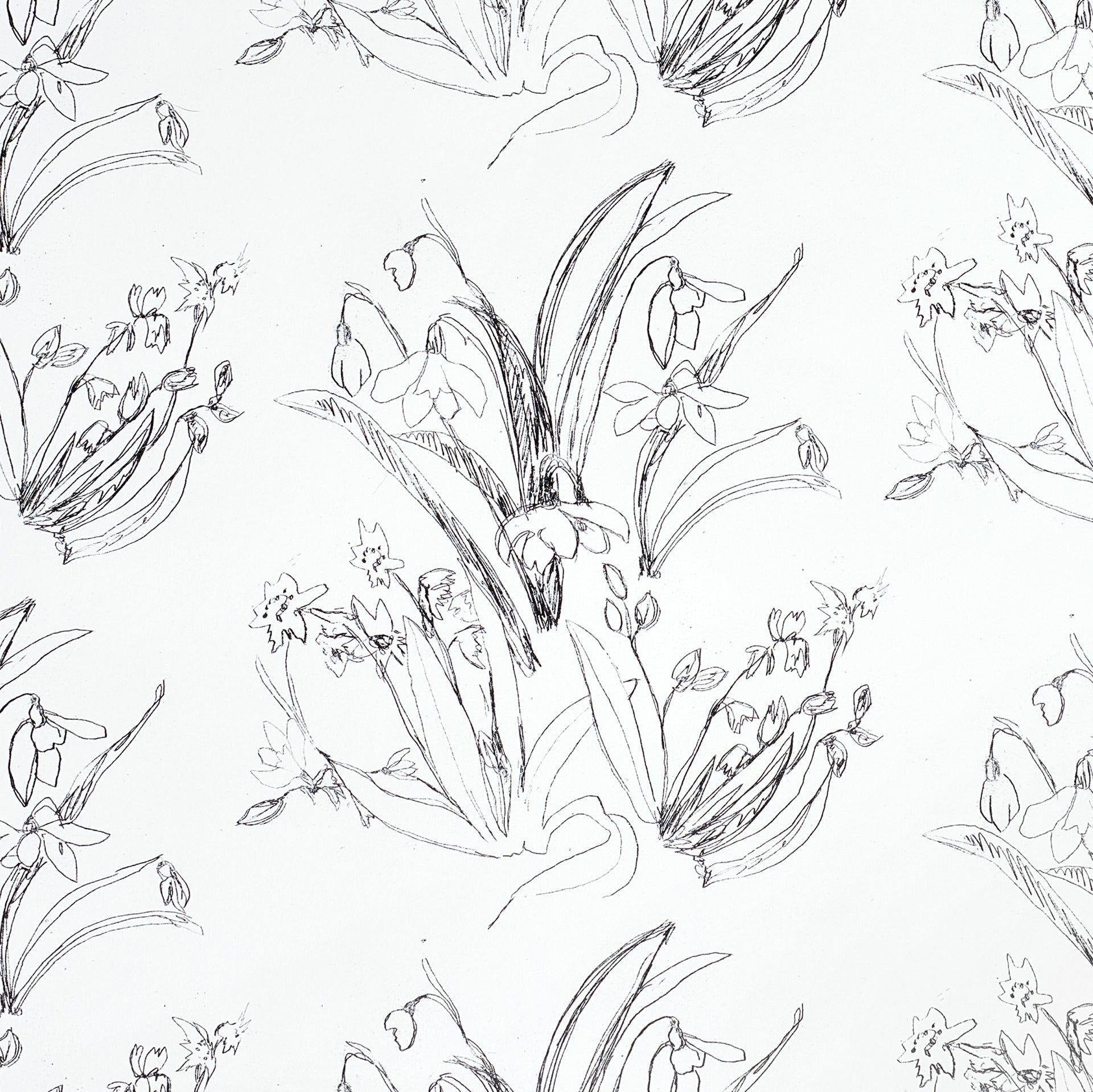 1920x1919 Blueprint Flower B&W Wallpaper