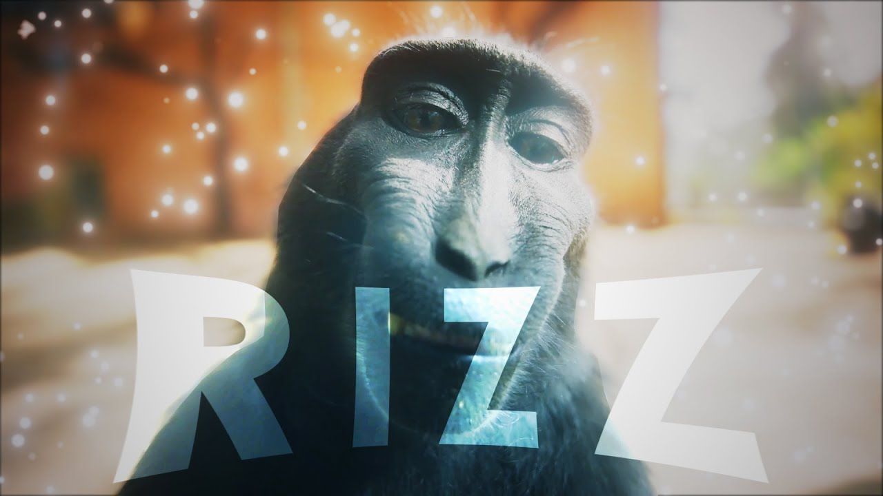 1280x720 Monkey Rizz Wallpaper
