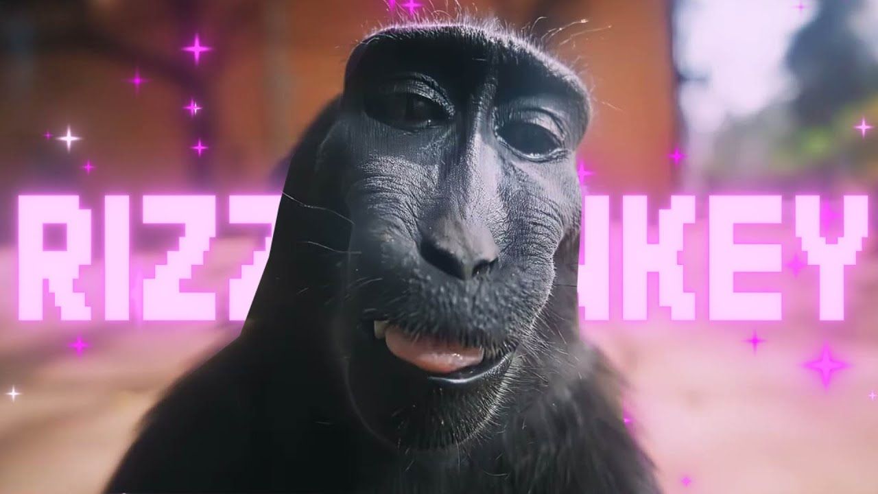 1280x720 Monkey Rizz Wallpaper