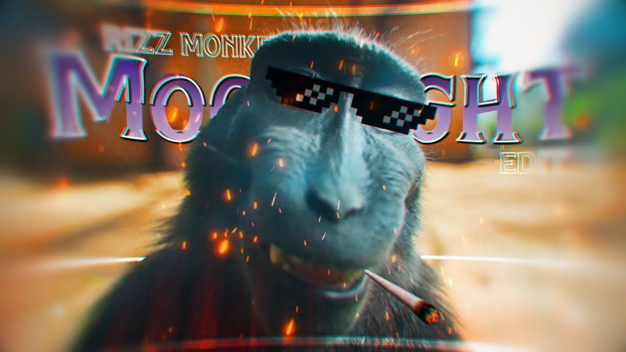 1280x720 Monkey Rizz Wallpaper