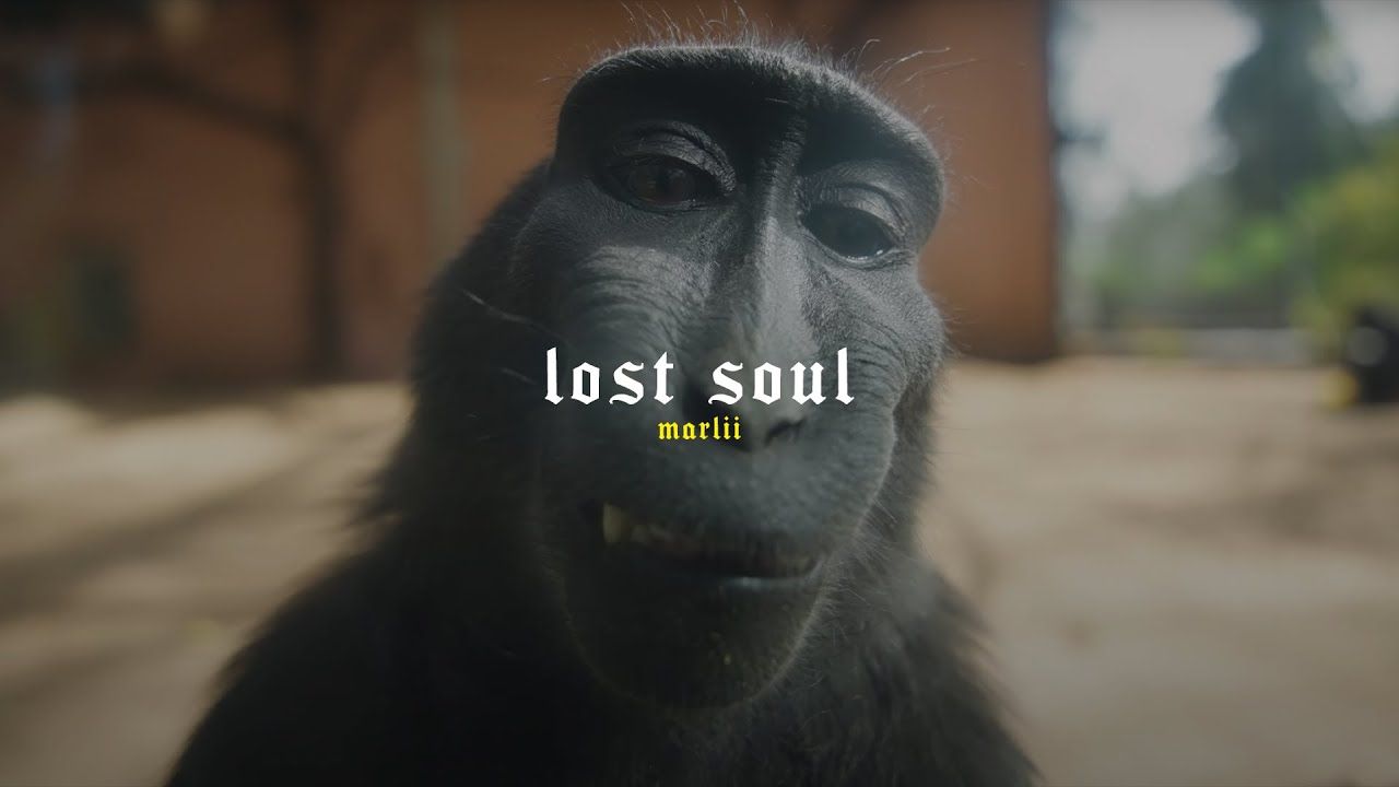 1280x720 Lost Soul Monkey (Slowed+ reverb)