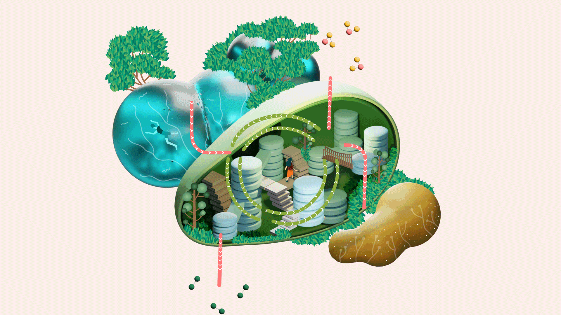1920x1080 Photosynthesis / Chloroplast by Sarah on Dribbble