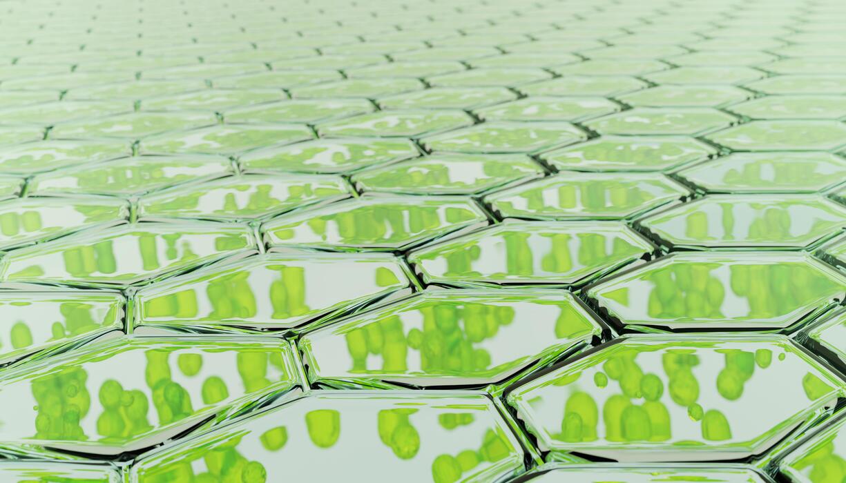1225x700 close up macro Nano chlorophyll or chloroplast biotech concept 3D illustration render green background. chlorophyll, chloroplast