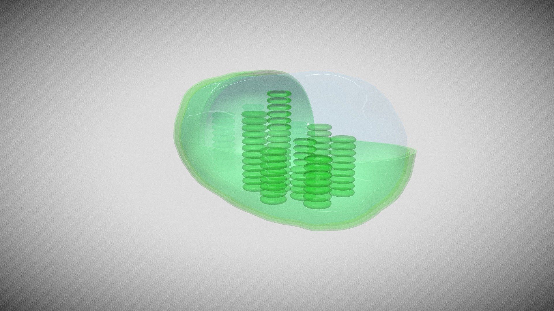 1920x1080 chloroplast Free 3D model by SkieTheACE [42eec3c]