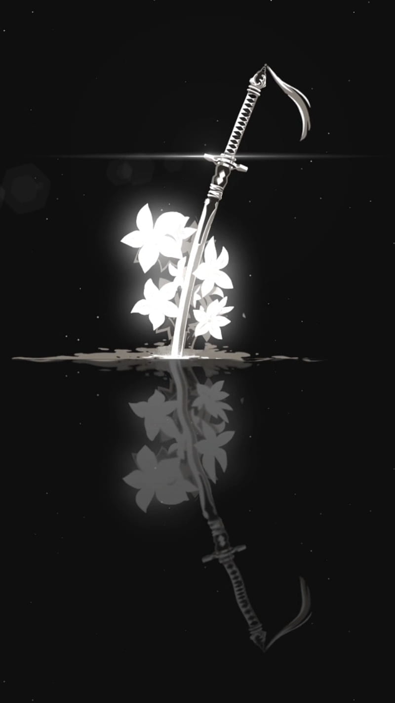 800x1422 Sword, spiritual, warrior, shadow, plant, light, white, HD phone wallpaper