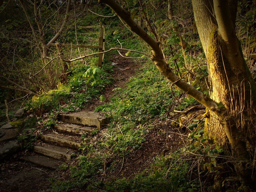 1024x768 stairway. daffodil gardens at coleraine uni