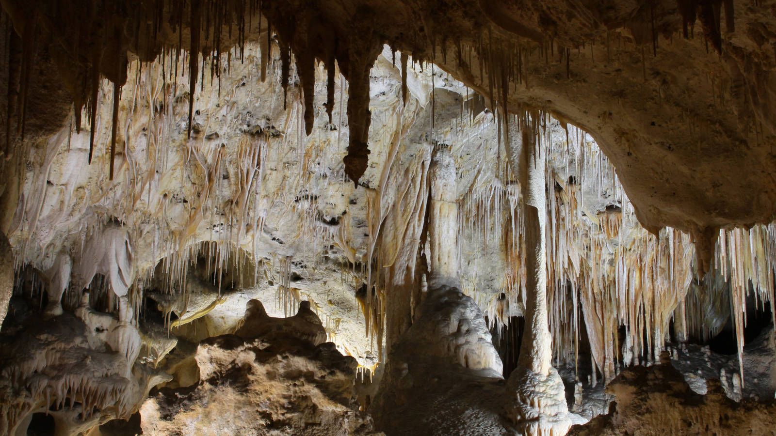 1600x900 Carlsbad Caverns · National Parks Conservation Association