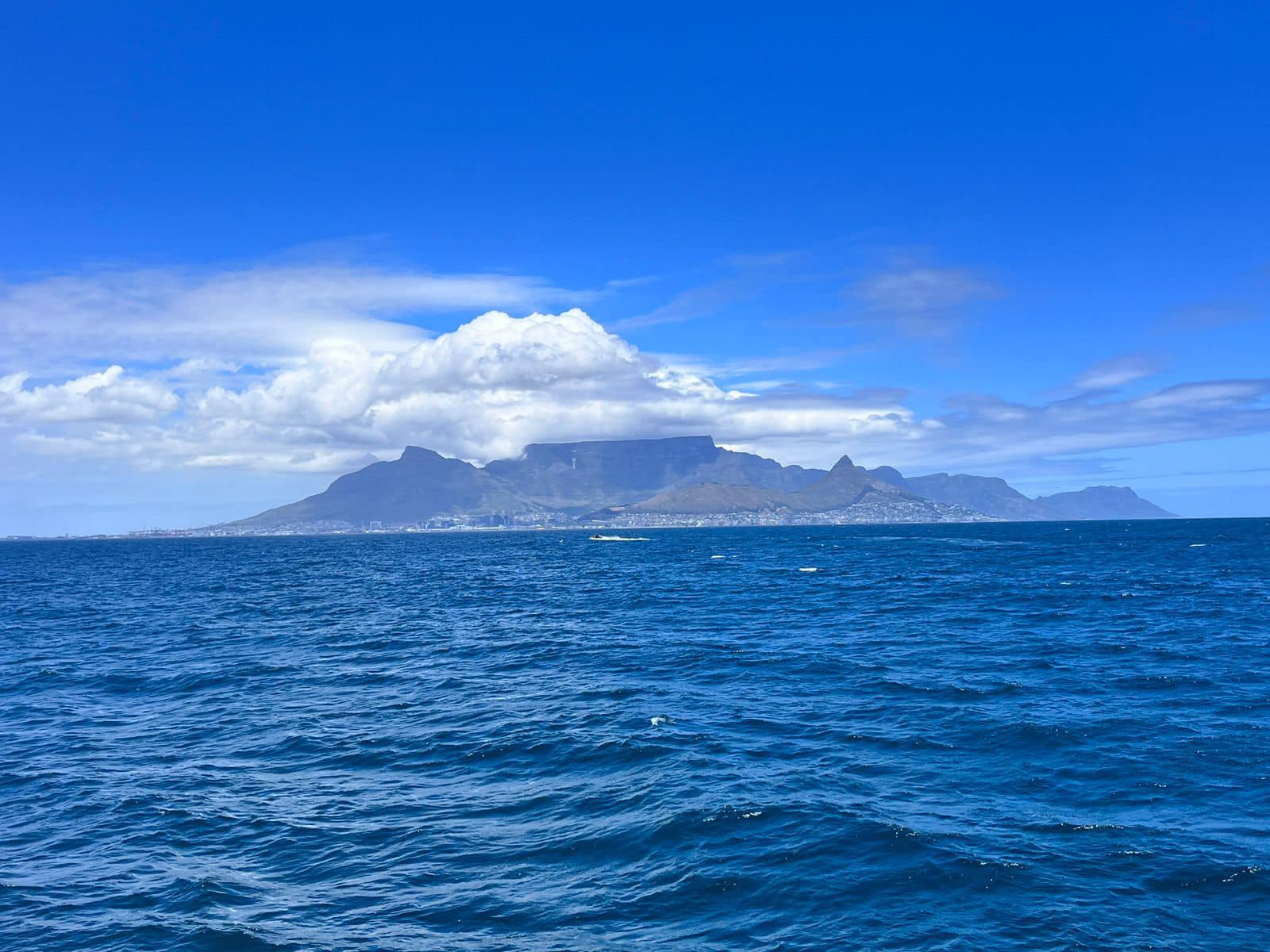 1600x1200 Robben Island Museum Memorial Run. West Coast Athletic Club