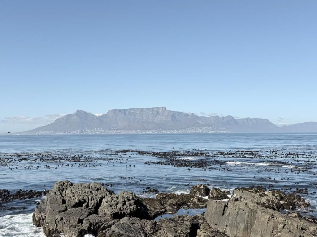 1024x768 EúnoiaCape Town Diaries, Day 1 and 2 : Around the VA Waterfront and Robben Island
