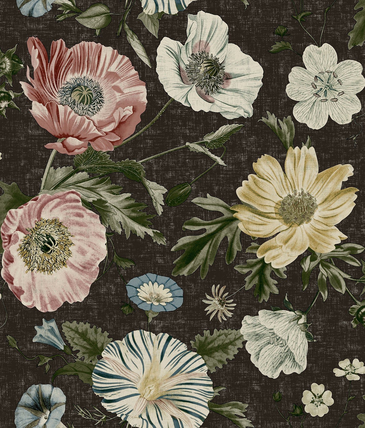1538x1800 York Wallcoverings RoomMates Vintage Poppy Black Peel and Stick Wallpaper Transitional Graphics Blacks Wallpaper