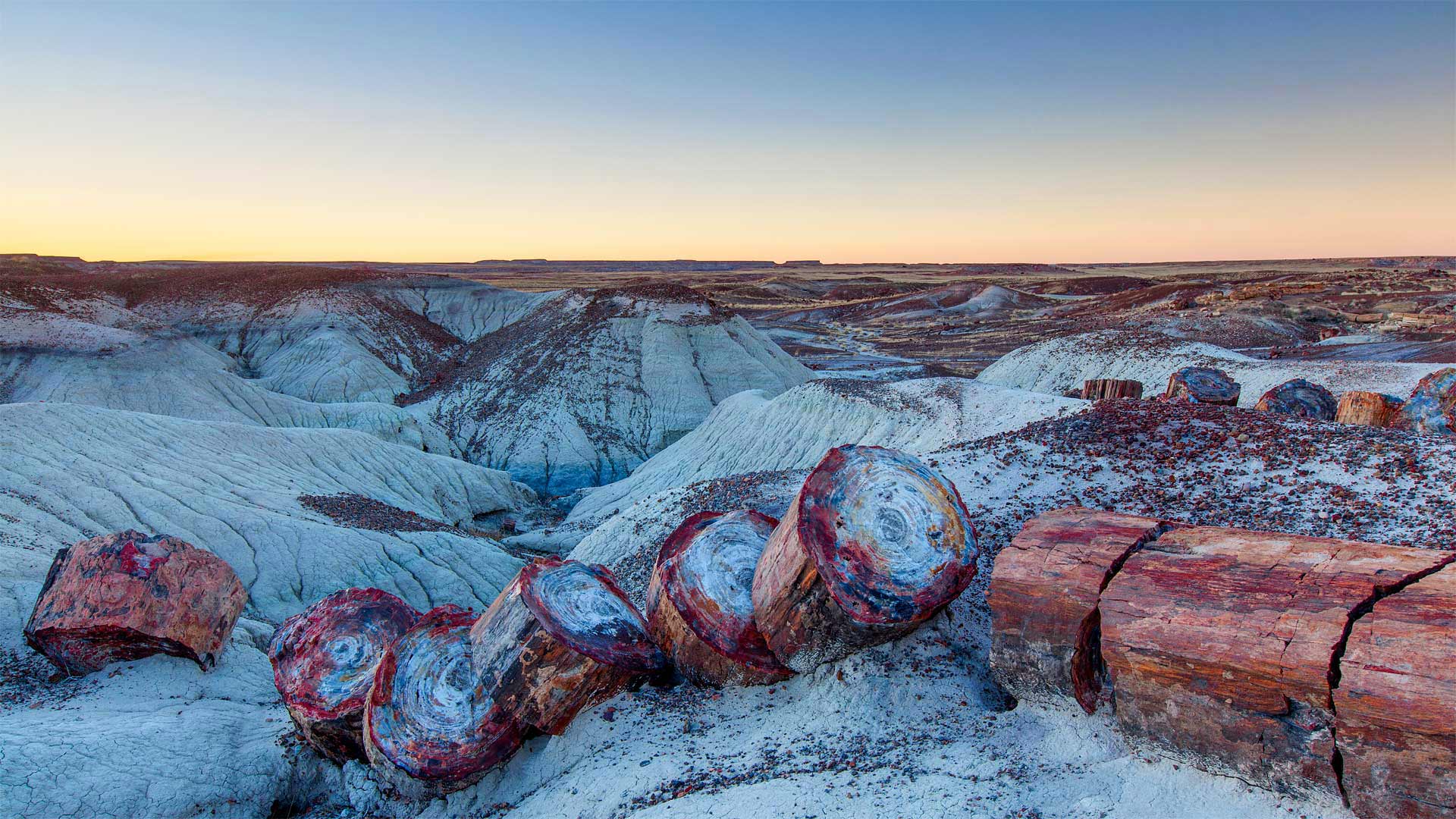 1920x1080 Bing image: Petrified Forest National Park Wallpaper Gallery