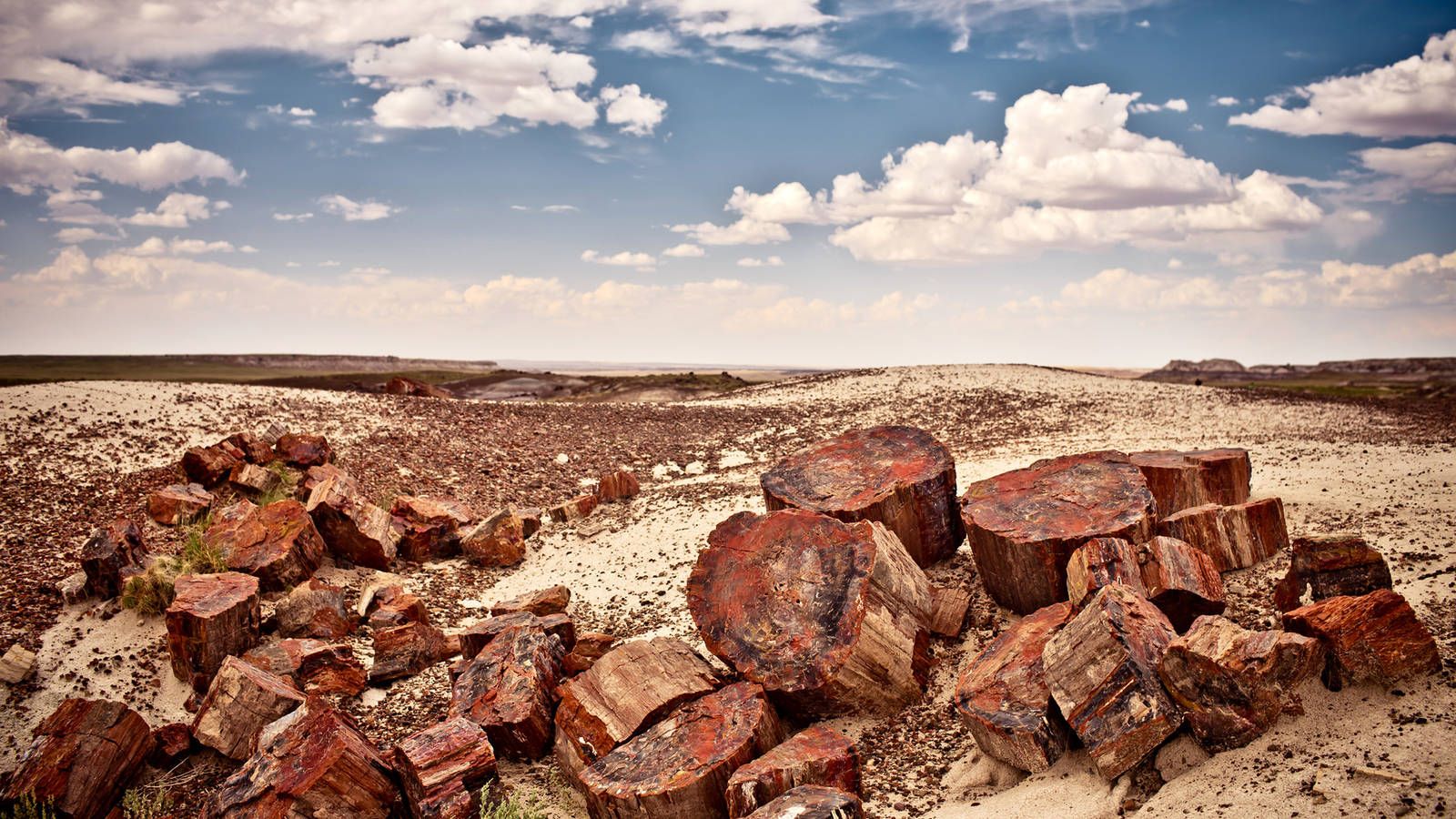 1600x900 Petrified Forest · National Parks Conservation Association