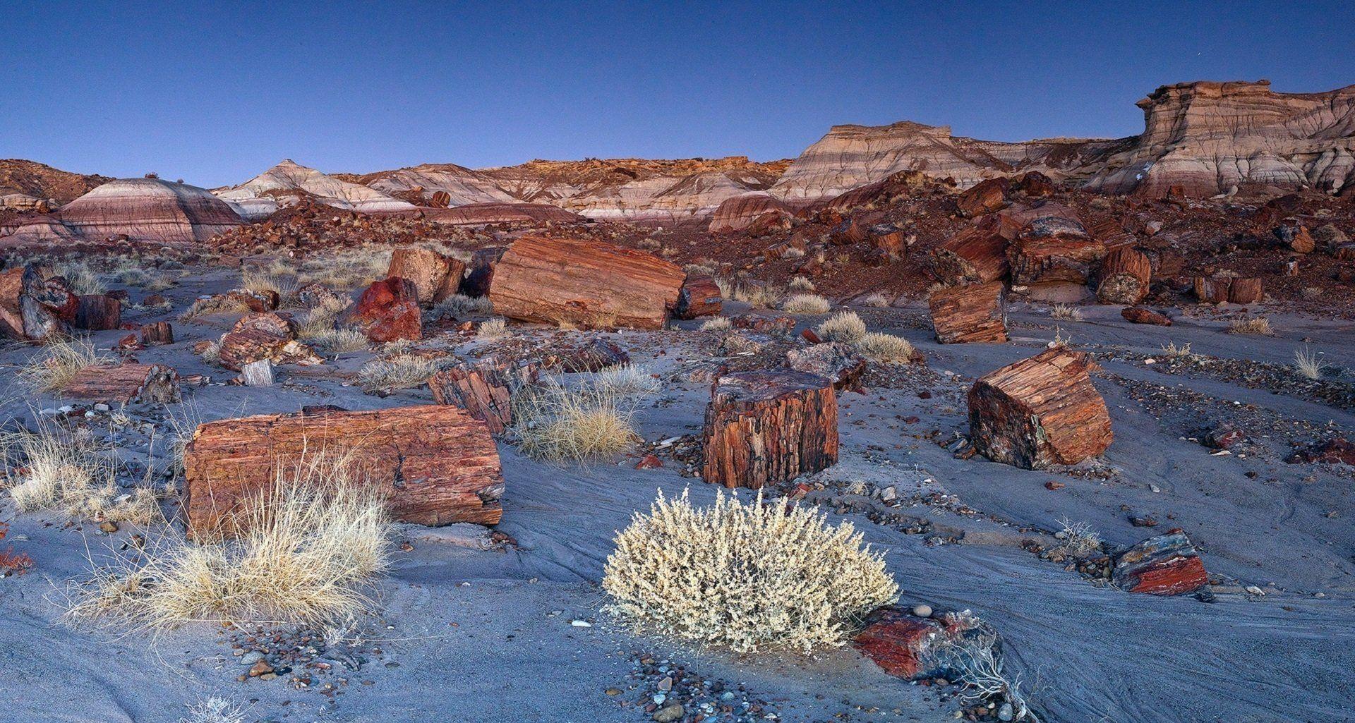 1920x1025 Petrified Forest National Park Wallpaper