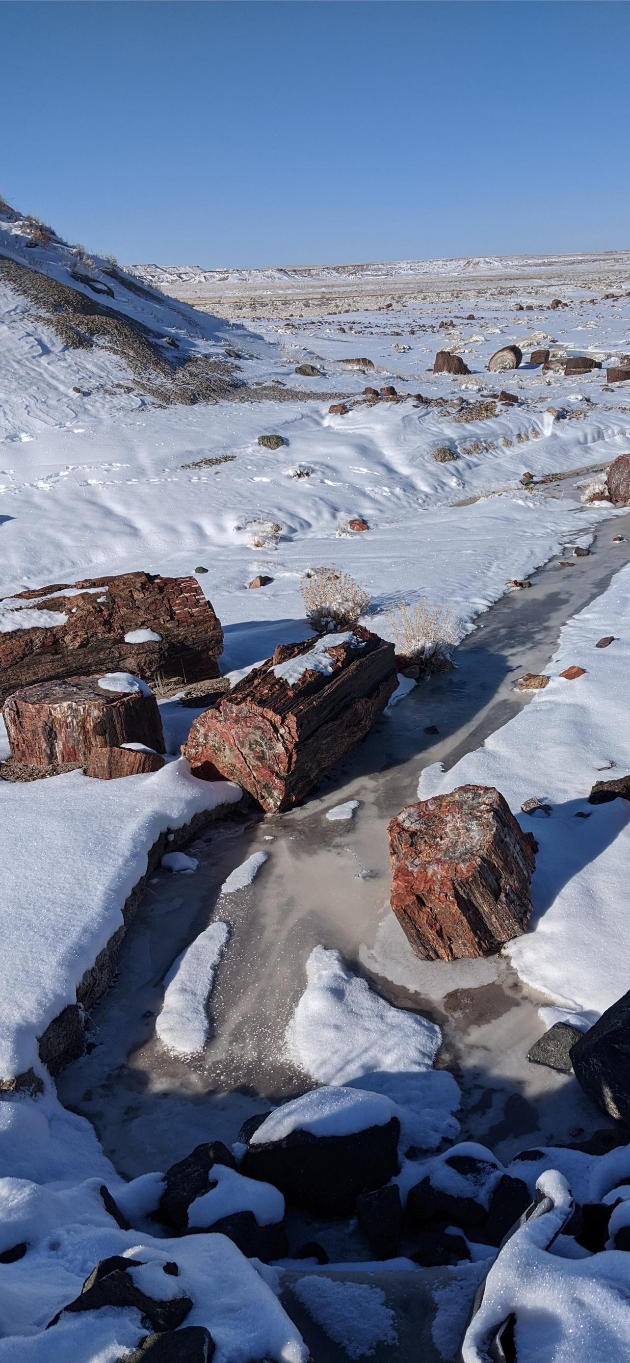1284x2778 Best Petrified forest national park iPhone HD Wallpaper