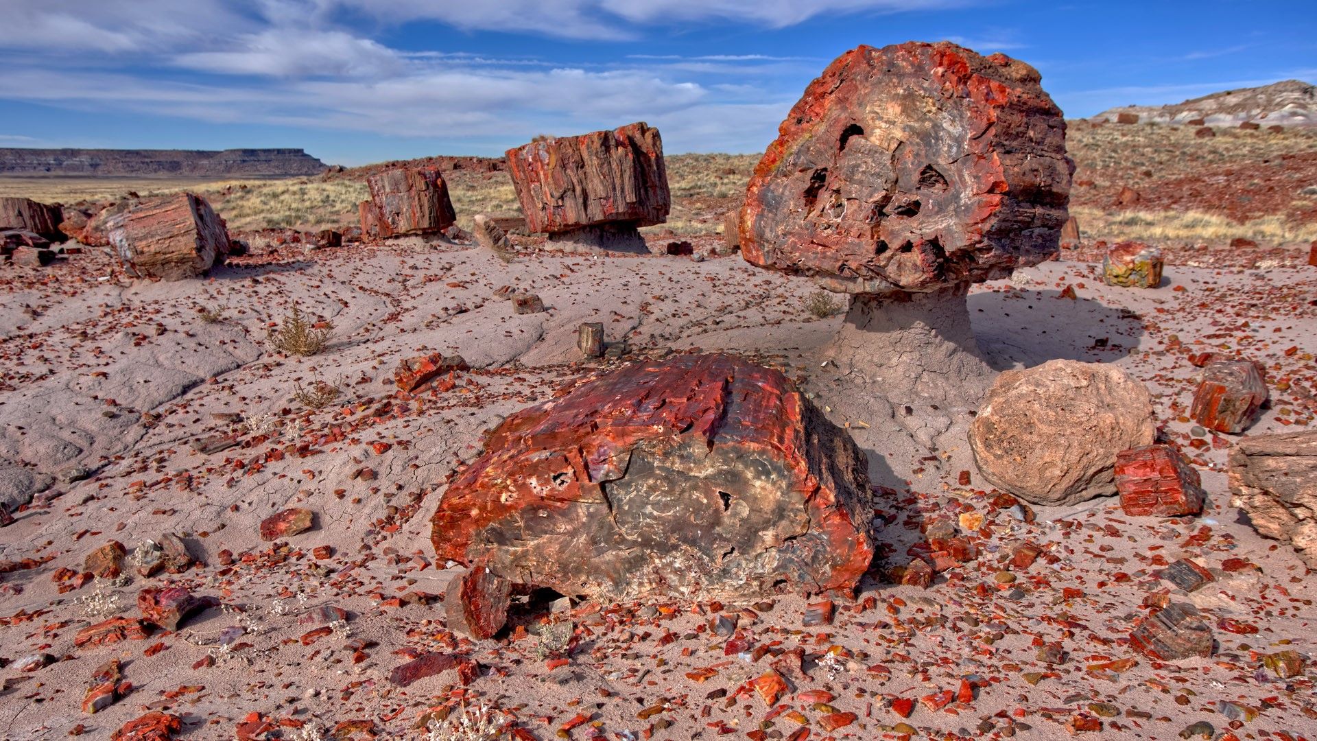 1920x1080 Petrified wood in the Jasper Forest of Petrified Forest National Park, Arizona, USA. Windows Spotlight Image