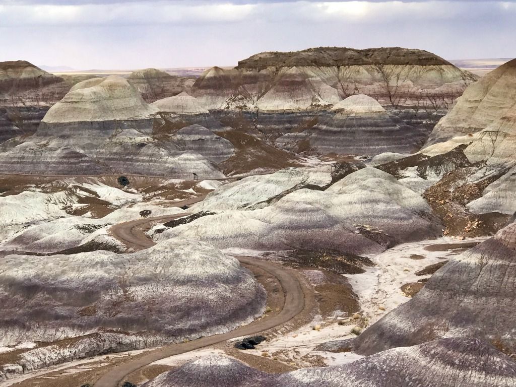 1024x768 Petrified Forest National Park and the Painted Desert Arizona- The Daily Adventures of Me