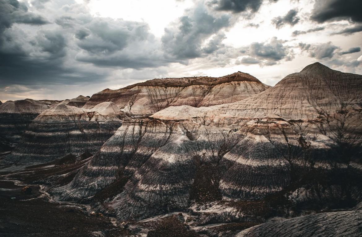 1169x766 Petrified Forest