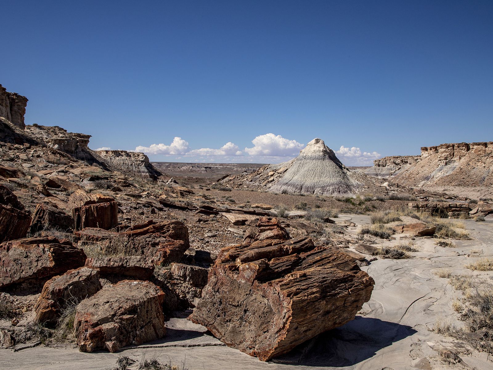 1600x1200 Get off the Beaten Path at Petrified Forest National Park Forest National Park (U.S. National Park Service)