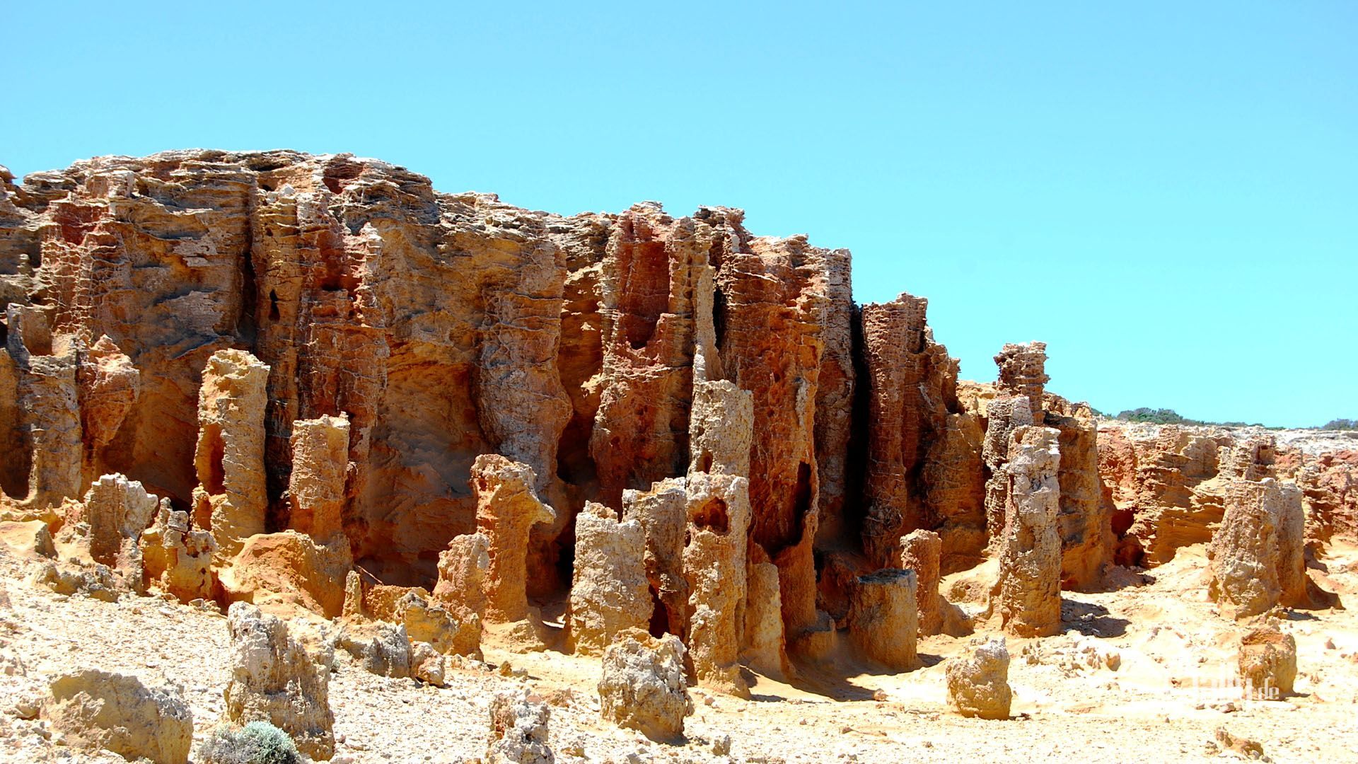 1920x1080 Petrified Forest Forest at Cape Bridgewater / Cap Bridgewater