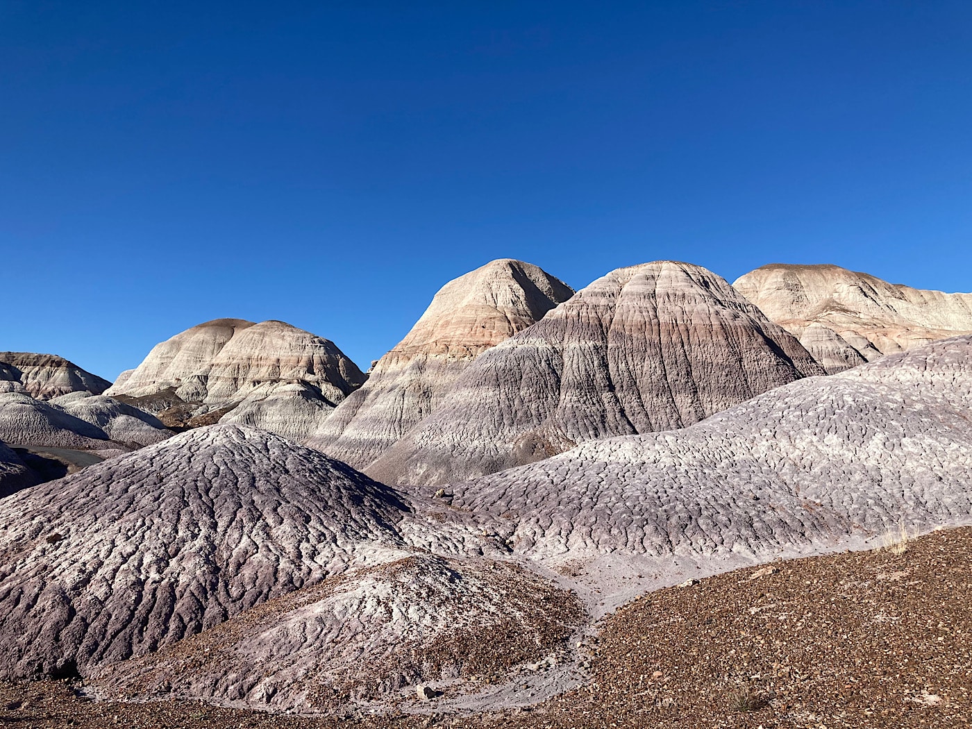 1400x1050 RV Adventures: Petrified Forest National Park. Arizona.Travel.Trek