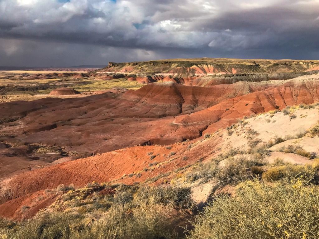 1024x768 Petrified Forest National Park and the Painted Desert Arizona- The Daily Adventures of Me