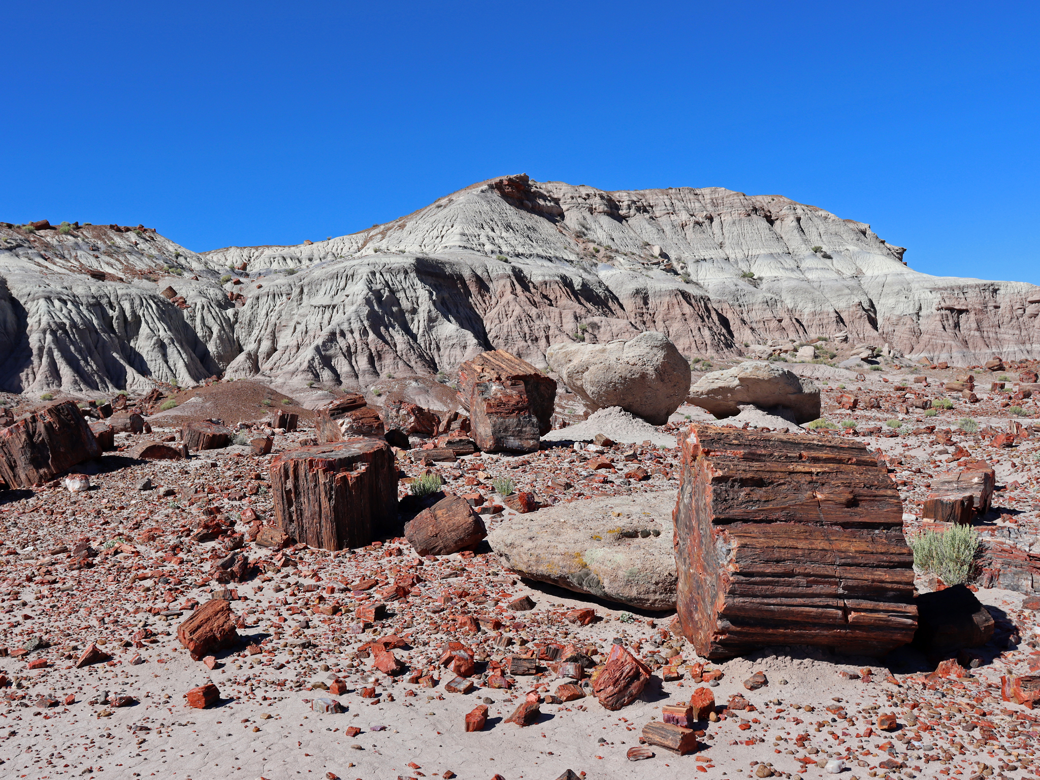 2048x1536 Petrified Forest National Park