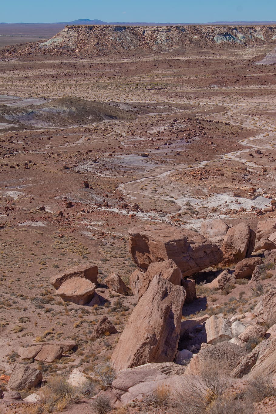 910x1365 HD wallpaper: arizona, petrified forest national park, desert, rock, scenics