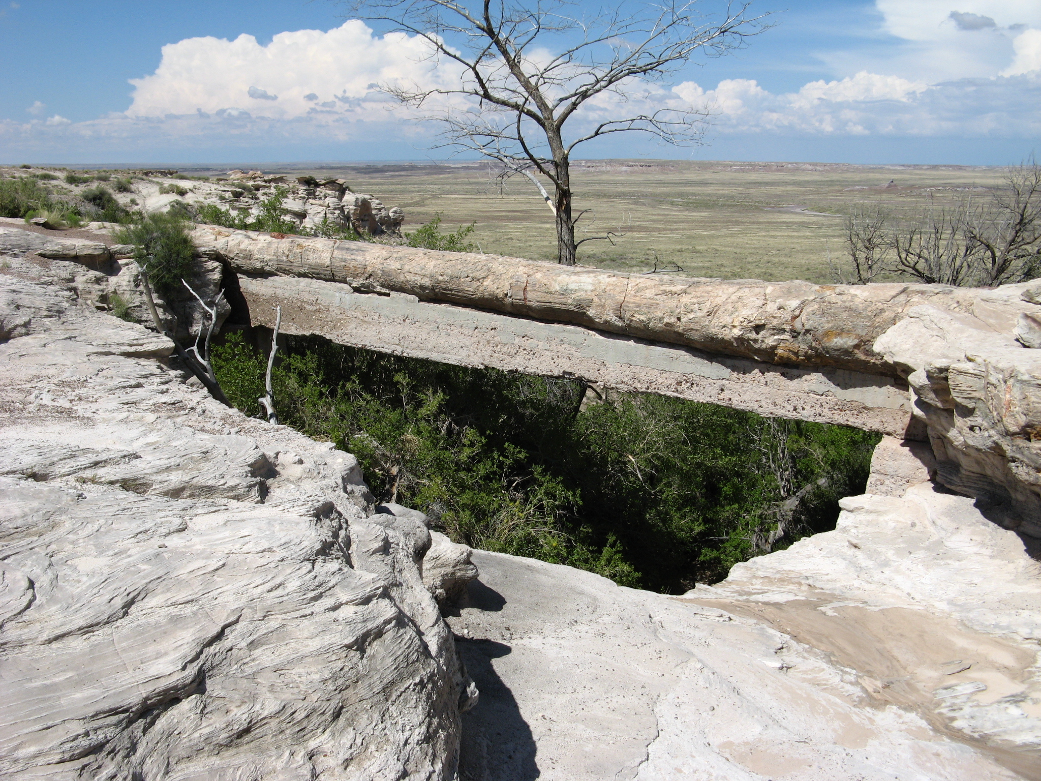 2048x1536 Agate Bridge Petrified Forest National Park