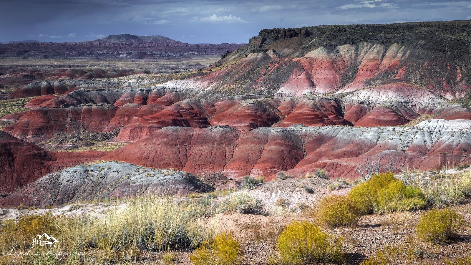 1600x900 Painted Desert. Whiple Point, Petrified Forest National Par