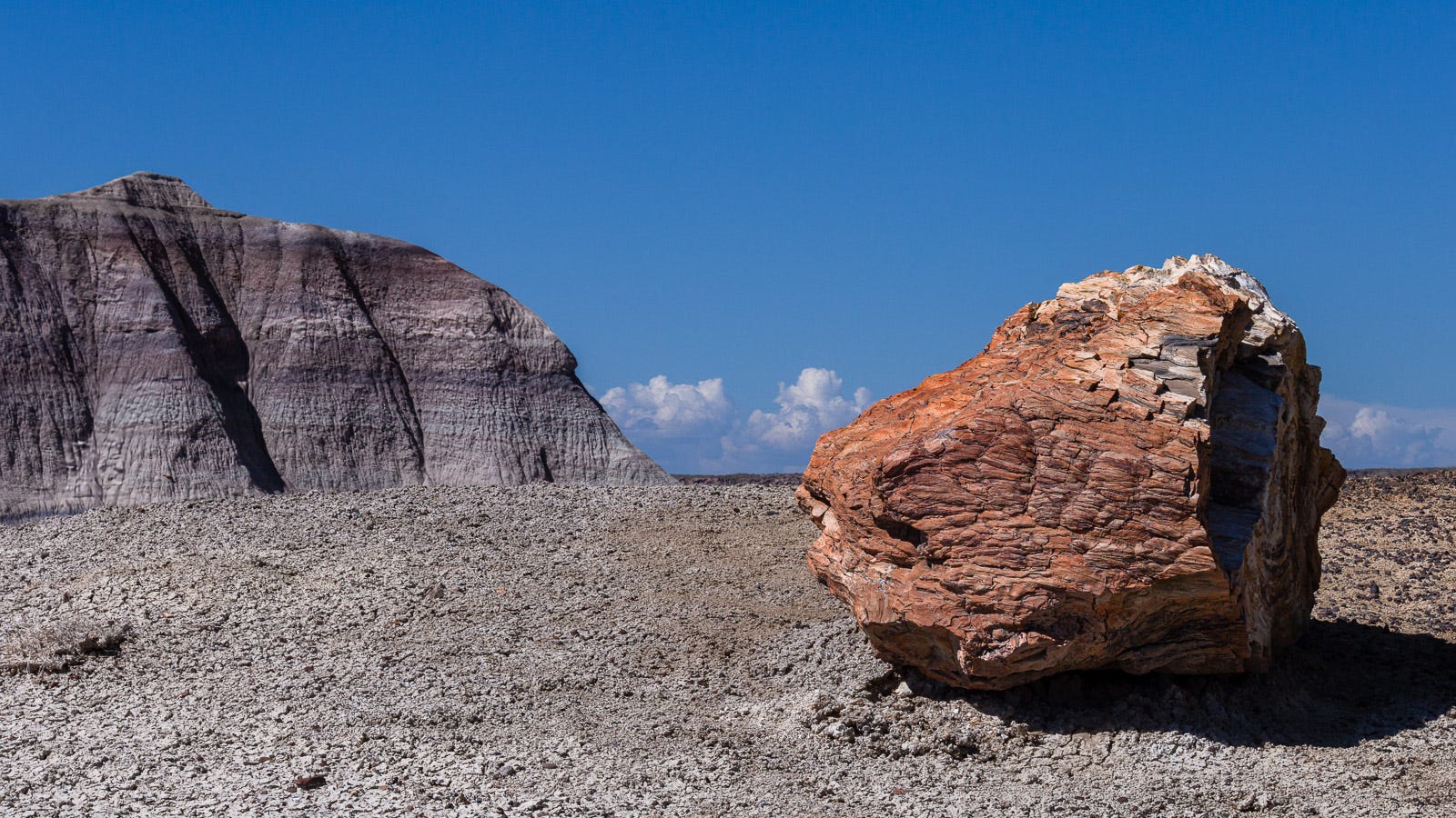 1600x900 Petrified Forest National Park. A Quick Drive Through.