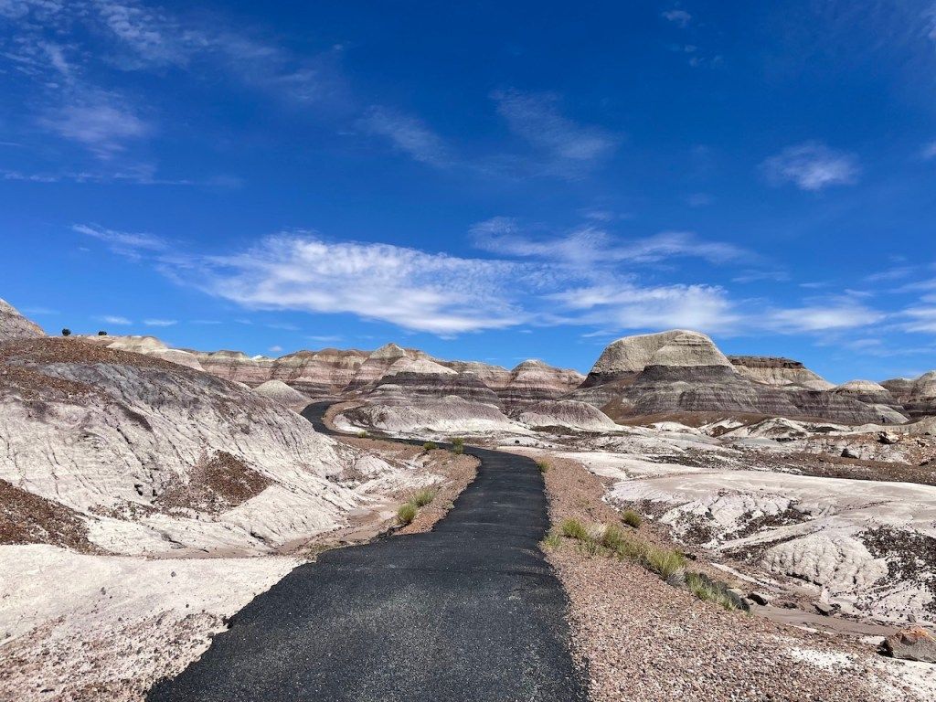 1024x768 A Drive through Petrified Forest National Park