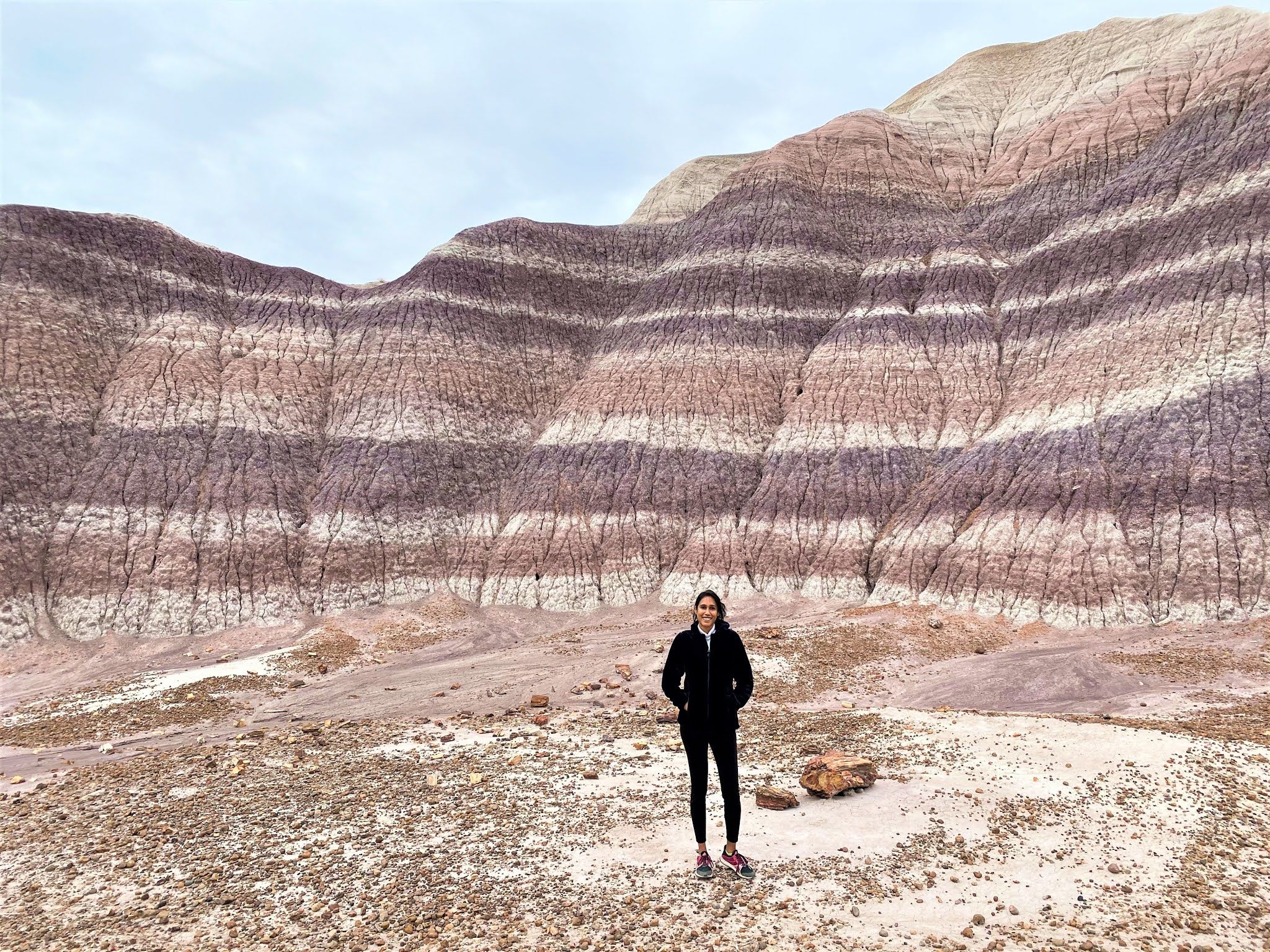 2048x1536 One interesting day in Petrified Forest National Park, AZ