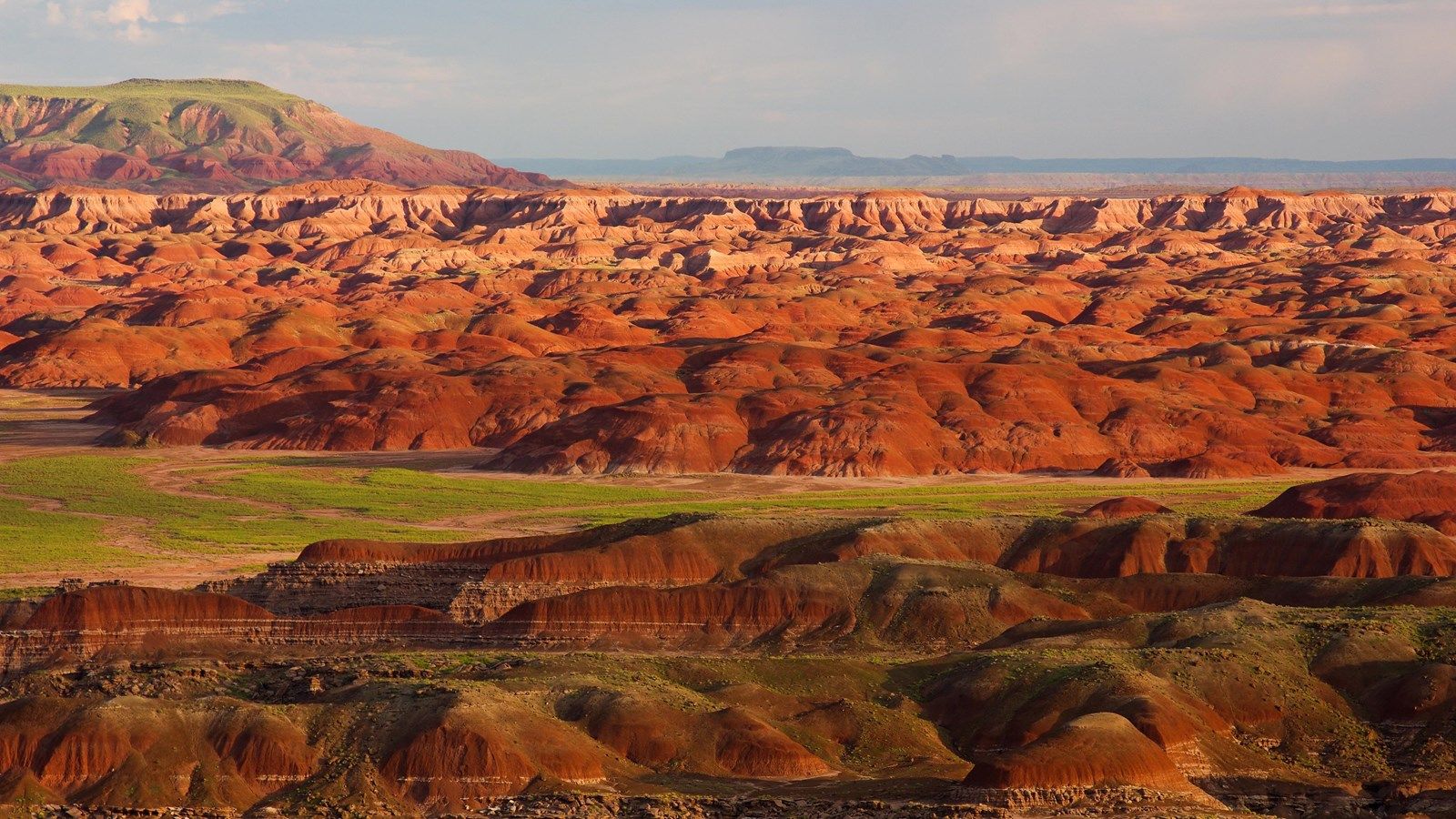 1600x900 Petrified Forest National Wilderness Area: North Unit (U.S. National Park Service)