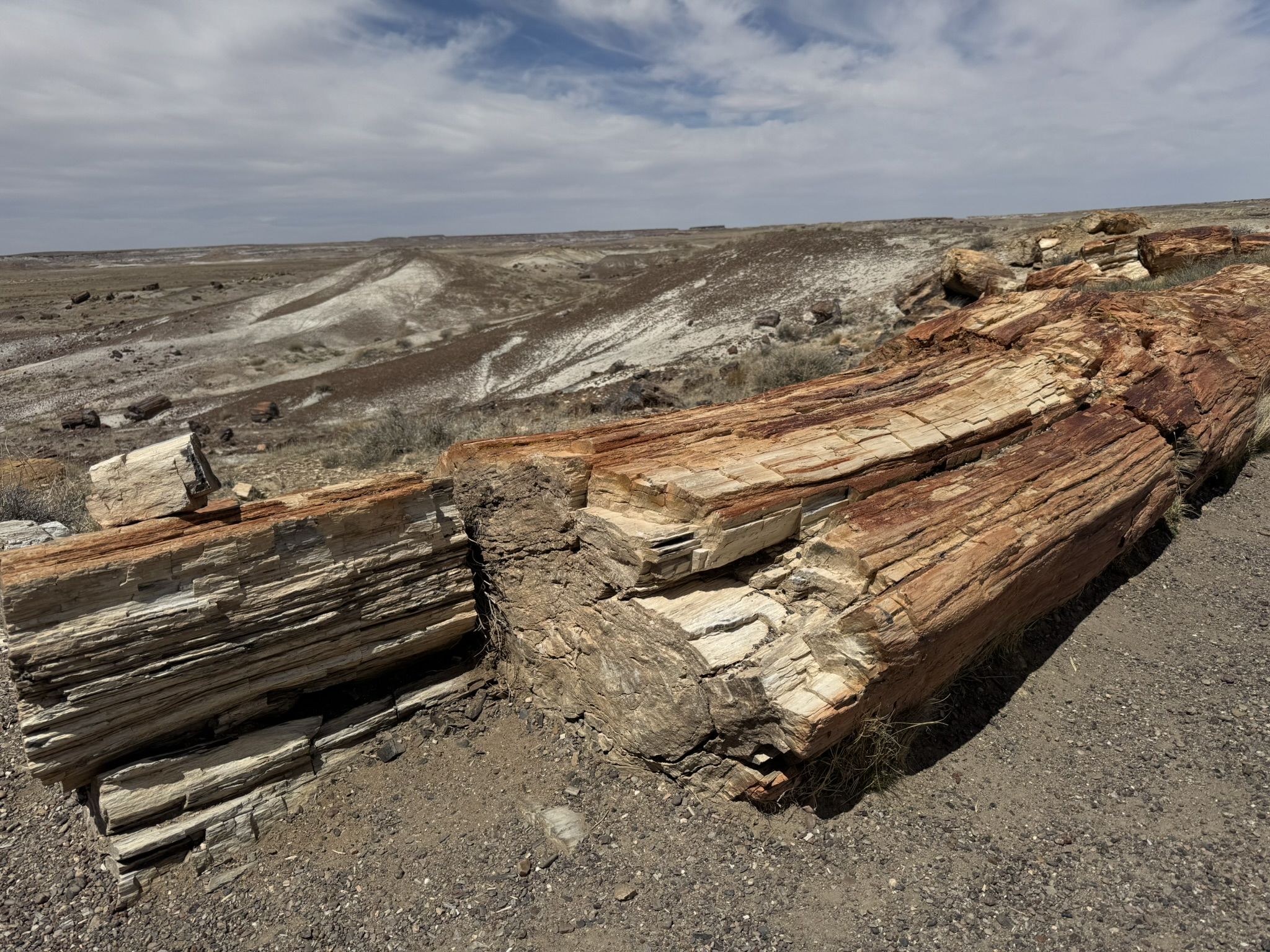 2048x1536 Petrified Forest National Park