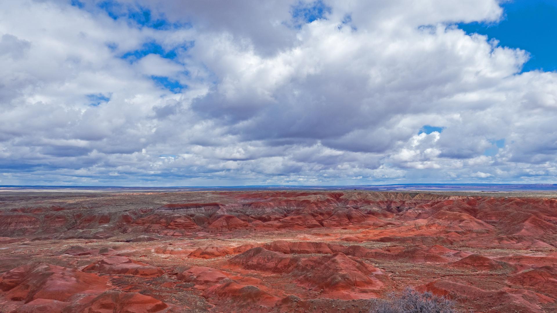 1920x1080 Attractions and Places To See in Petrified Forest National Park