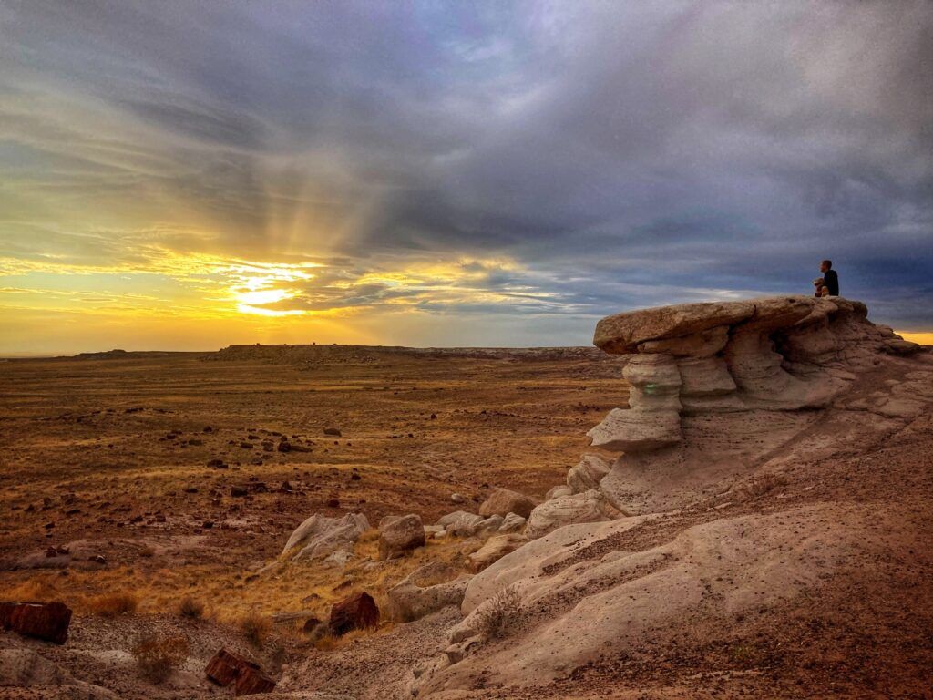 1024x768 Petrified Forest National Park