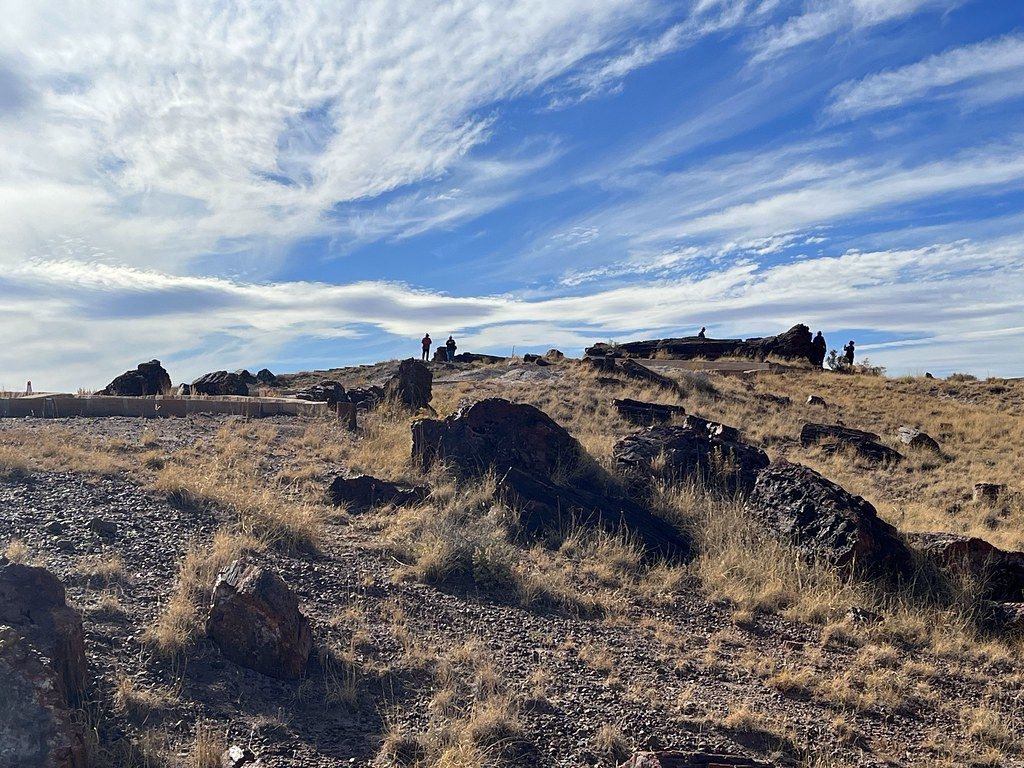 1024x768 Petrified Forest