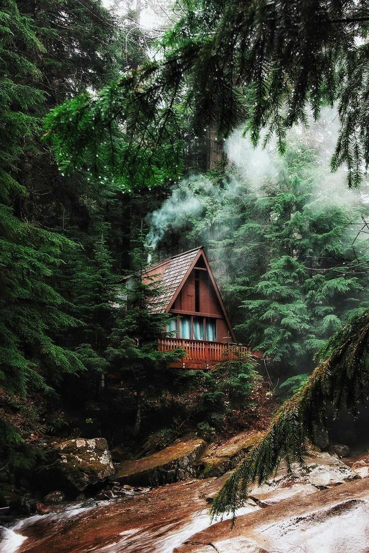 736x1104 Épinglé par VITÓRIA NAKAYMA sur wallpaper. Cabine en bois, Maison dans la forêt, Maison dans les arbres