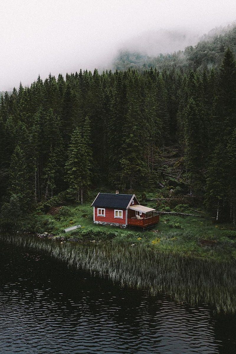 800x1200 Ani Jaiani on the aesthetic in 2021. Forest house, Lakeside cabin, Cabins in the woods, HD phone wallpaper
