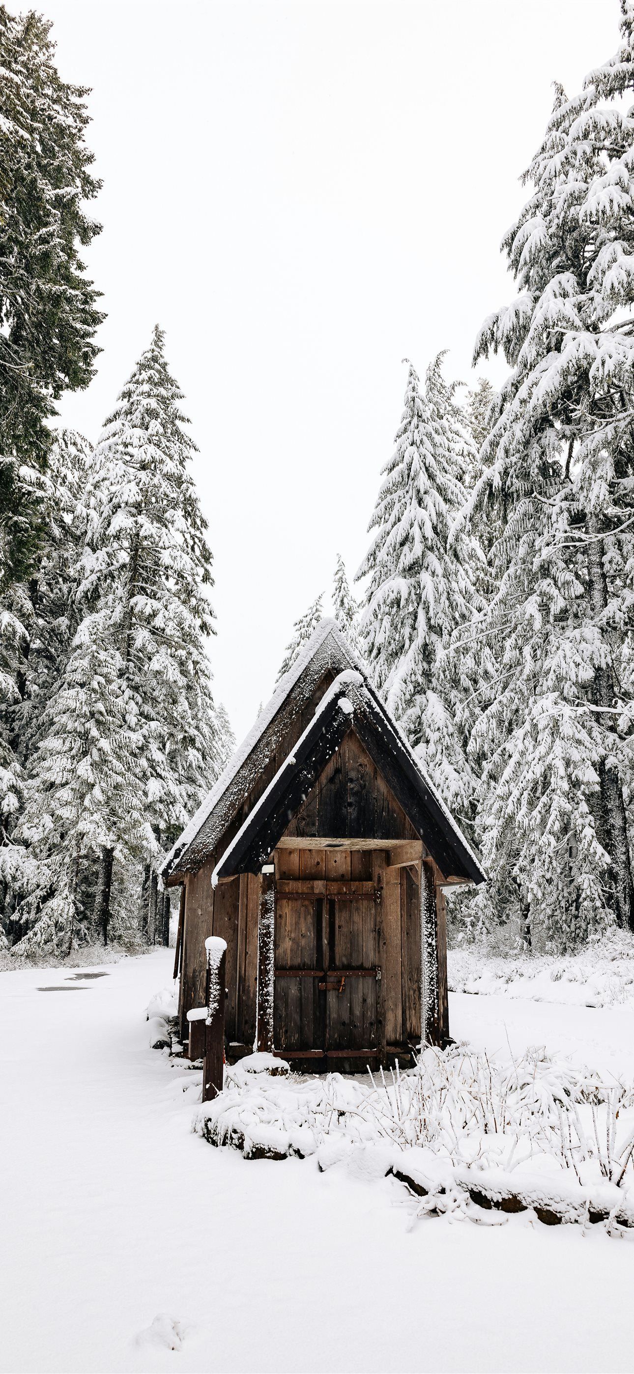 1290x2796 A cabin in the middle of a snowy forest iPhone Wallpaper Free Download