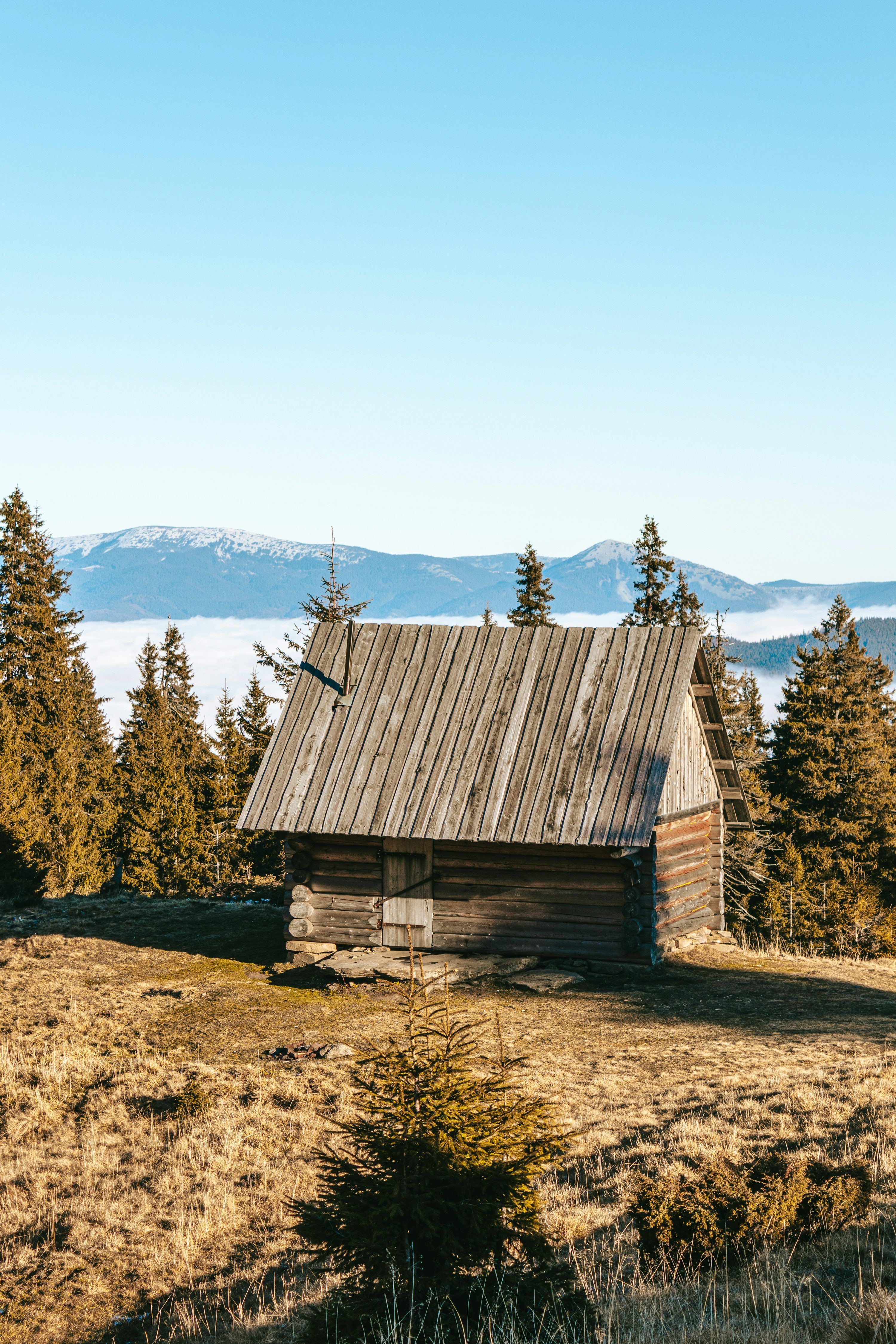 3000x4500 A small cabin in a field with mountains in the background photo